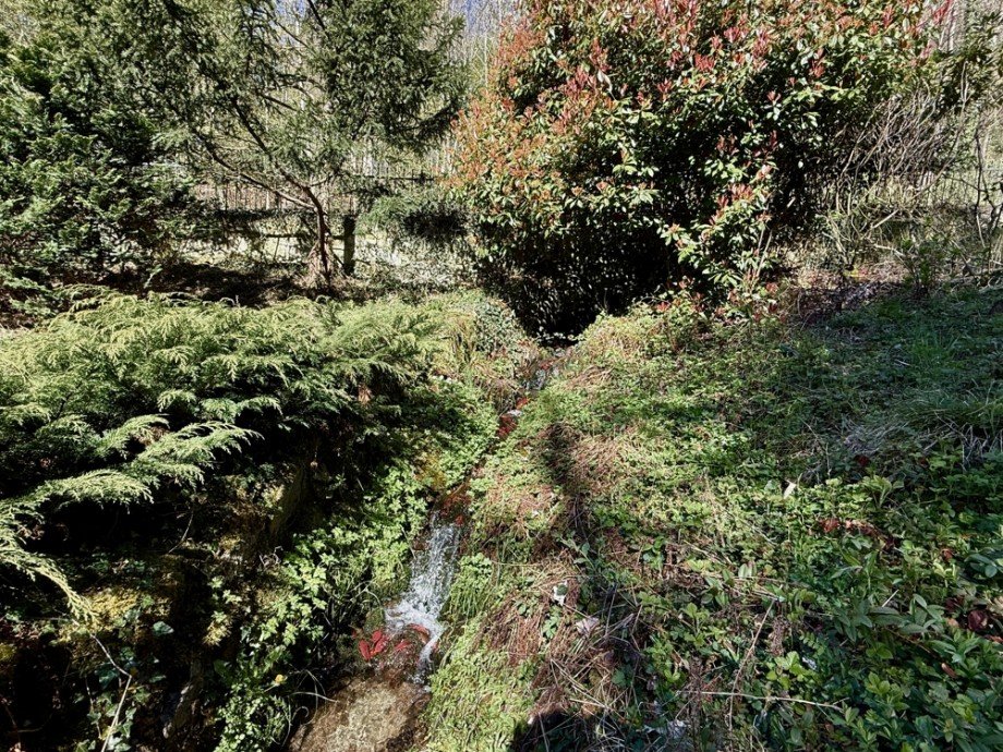 Bachlauf Zweifamilienhaus Lindenfels / Winkel