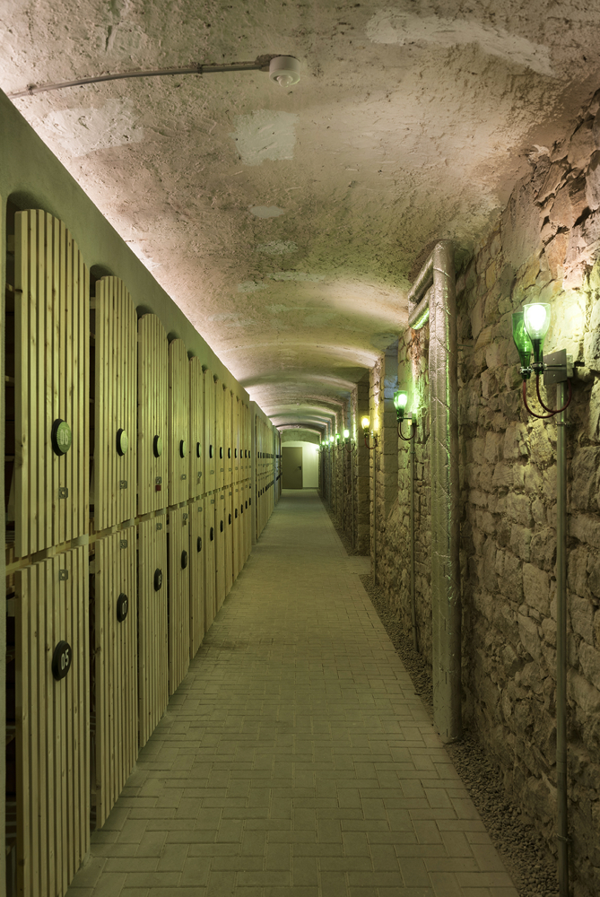 Weinregale Erdgeschosswohnung Heppenheim