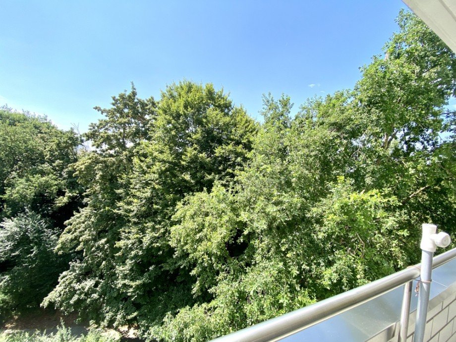 Aussicht Westbalkon Etagenwohnung Heppenheim