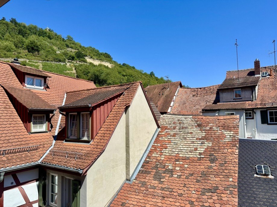 Ausblick 1.OG I Einfamilienhaus Heppenheim