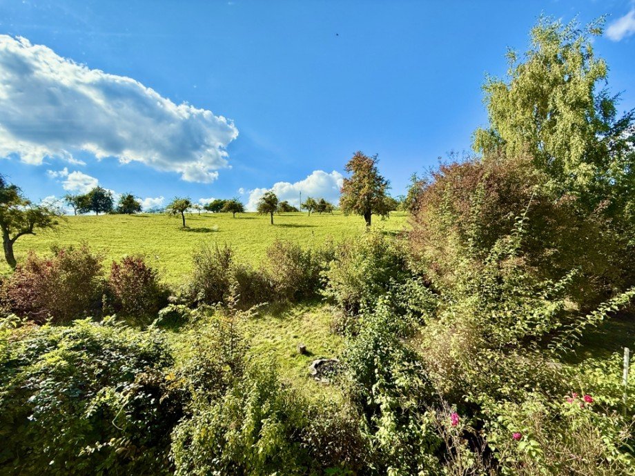 Ausblick III Zweifamilienhaus M�rlenbach / Bonsweiher