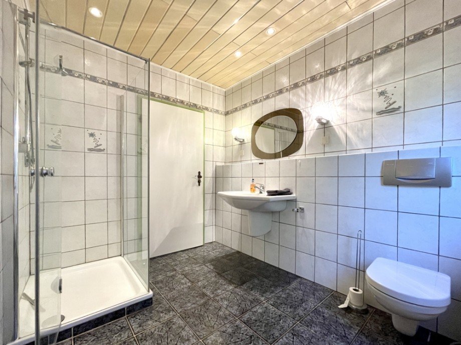 Tageslichtduschbad 2 im UG Einfamilienhaus Heppenheim (Bergstra�e) / Kirschhausen