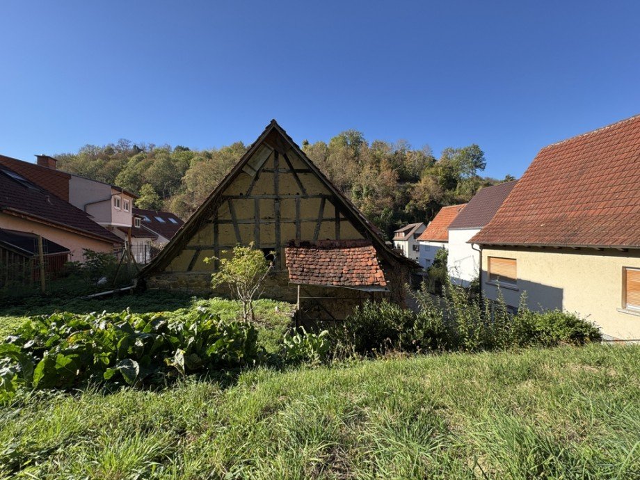R�ckansicht II Einfamilienhaus Heppenheim