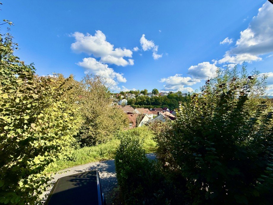 Ausblick Zweifamilienhaus M�rlenbach / Bonsweiher