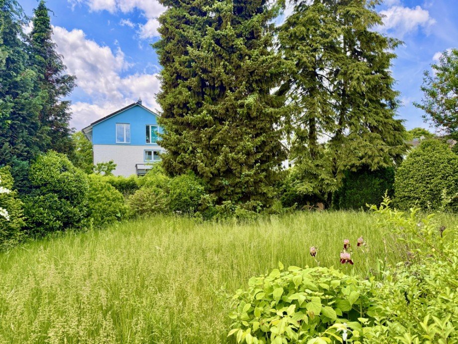 Garten I Zweifamilienhaus Bensheim