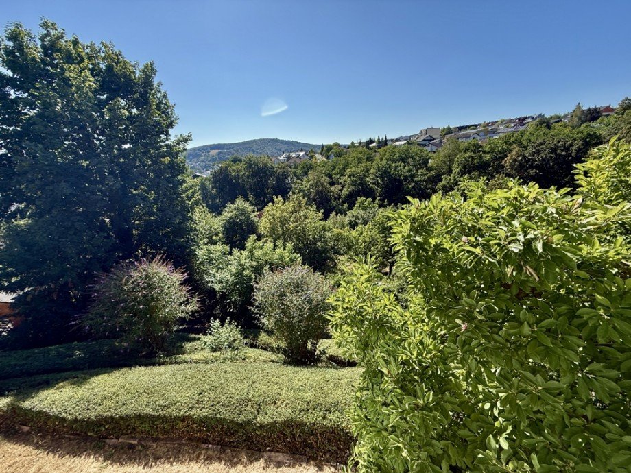 Aussicht Einfamilienhaus Obernburg am Main