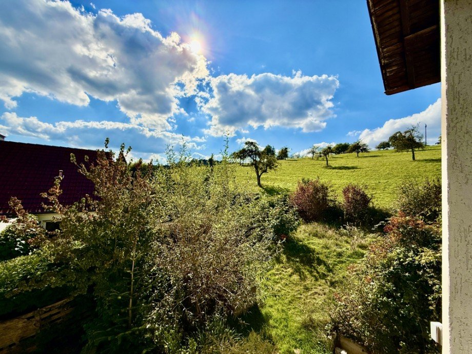 Ausblick II Zweifamilienhaus M�rlenbach / Bonsweiher