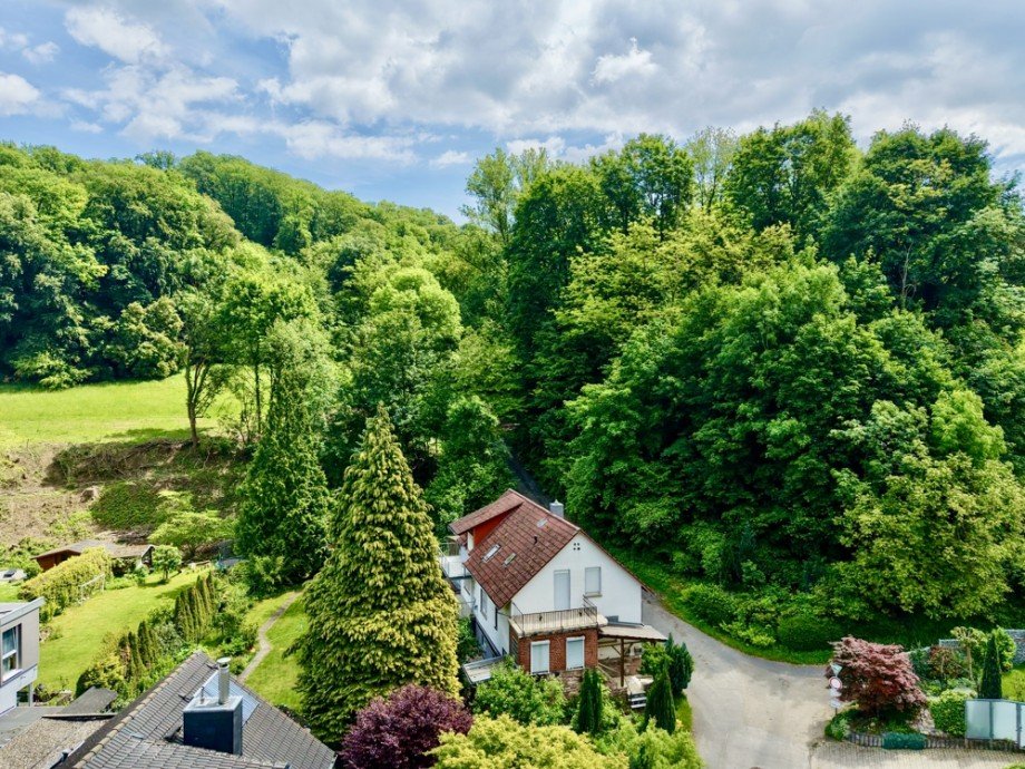 Drohnenaufnahme II Zweifamilienhaus Laudenbach