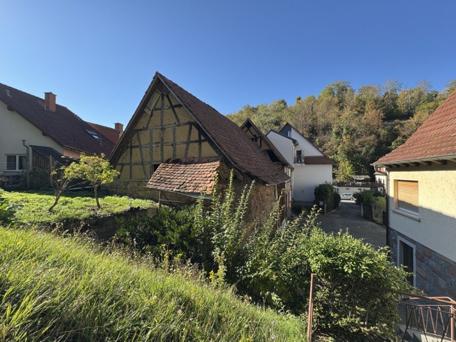 R�ckansicht I Einfamilienhaus Heppenheim